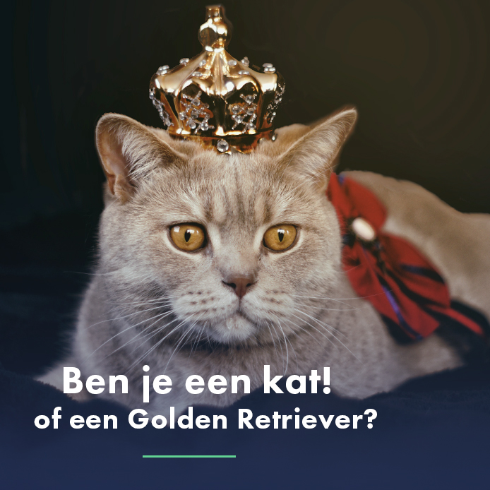 Ben jij een kat? Of een Golden Retriever? Foto van een kat met een kroontje op.